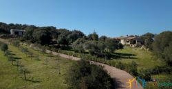 Superb Country Homes For Sale Porto Cervo Sardinia Ref. Mezaia