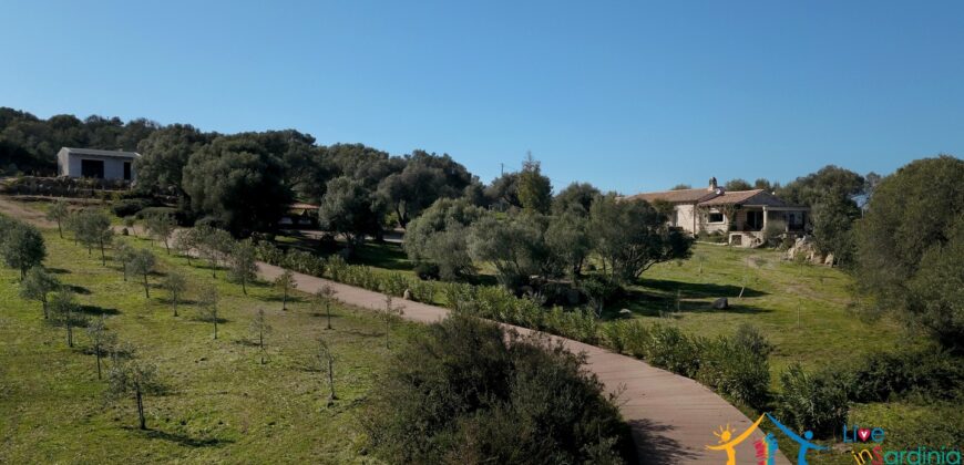 Superb Country Homes For Sale Porto Cervo Sardinia Ref. Mezaia