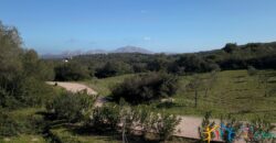 Superb Country Homes For Sale Porto Cervo Sardinia Ref. Mezaia