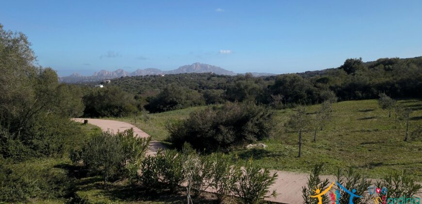 Superb Country Homes For Sale Porto Cervo Sardinia Ref. Mezaia