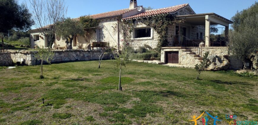 Magnificent Stazzu For Sale San Pantaleo Ref. Mezaia