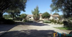 Superb Country Homes For Sale Porto Cervo Sardinia Ref. Mezaia