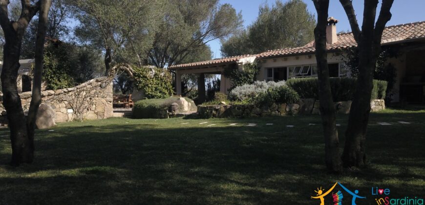 Superb Country Homes For Sale Porto Cervo Sardinia Ref. Mezaia