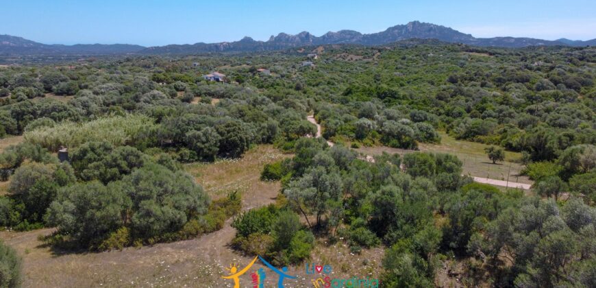 Superb Country Homes For Sale Porto Cervo Sardinia Ref. Mezaia