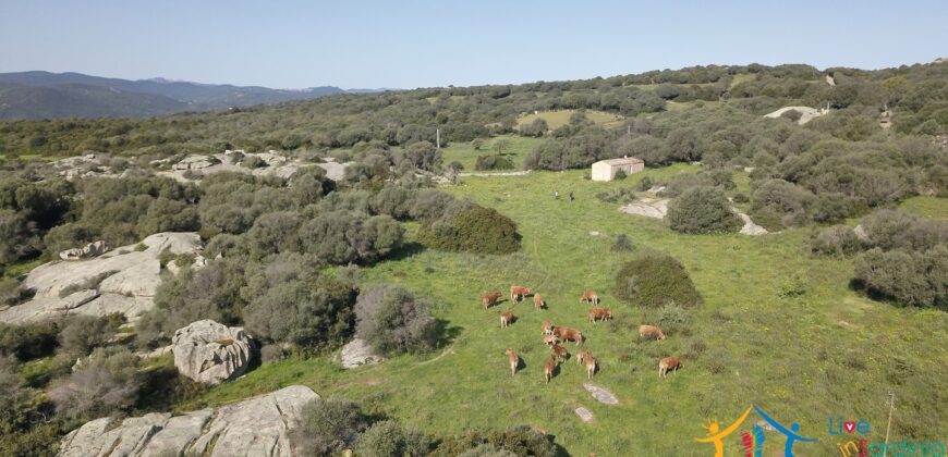 Enchanting Stazzu For Sale Arzachena ref.Li Lolghi