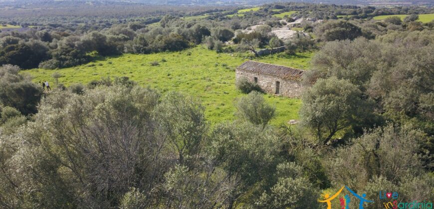 Enchanting Stazzu For Sale Arzachena ref.Li Lolghi