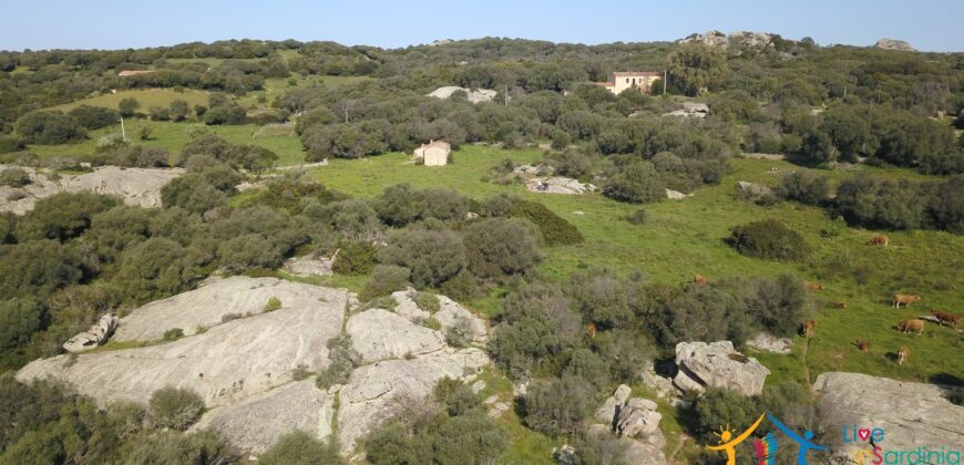 Enchanting Stazzu For Sale Arzachena ref.Li Lolghi