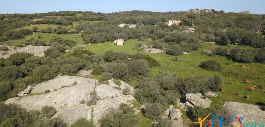 Enchanting Stazzu For Sale Arzachena ref.Li Lolghi