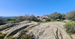 Enchanting Stazzu For Sale Arzachena ref.Li Lolghi