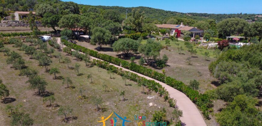 Superb Country Homes For Sale Porto Cervo Sardinia Ref. Mezaia
