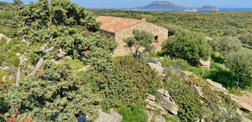Sea view Villa For Sale Olbia Ref. Binzolas