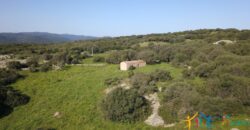 Enchanting Stazzu For Sale Arzachena ref.Li Lolghi