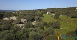 Enchanting Stazzu For Sale Arzachena ref.Li Lolghi