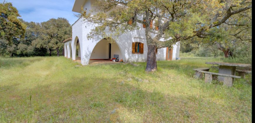 Enchanting Villa For Sale Olbia Ref. Villa Bianca