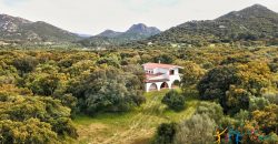 Enchanting Villa For Sale Olbia Ref. Villa Bianca