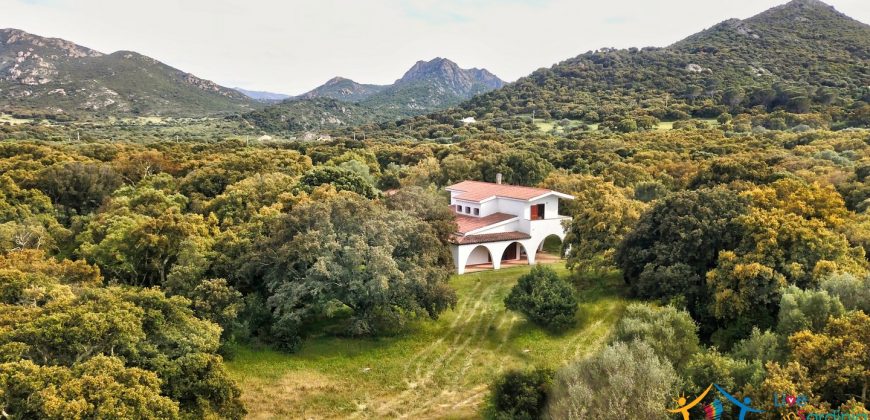 Enchanting Villa For Sale Olbia Ref. Villa Bianca