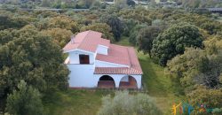 Enchanting Villa For Sale Olbia Ref. Villa Bianca