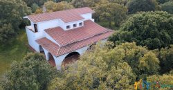 Enchanting Villa For Sale Olbia Ref. Villa Bianca