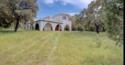 Enchanting Villa For Sale Olbia Ref. Villa Bianca