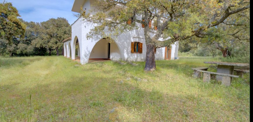 Enchanting Villa For Sale Olbia Ref. Villa Bianca