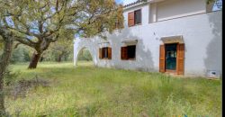 Enchanting Villa For Sale Olbia Ref. Villa Bianca