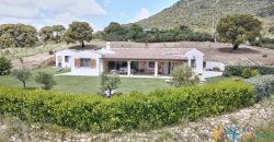 Enchanting Villa For Sale Olbia ref Austinacciu