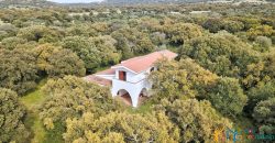 Enchanting Villa For Sale Olbia Ref. Villa Bianca