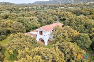 Enchanting Villa For Sale Olbia Ref. Villa Bianca