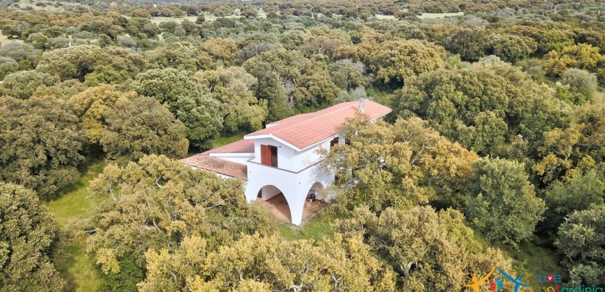 Enchanting Villa For Sale Olbia Ref. Villa Bianca