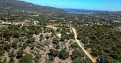 Fabulous Home  For Sale In Sale San Pantaleo Sardinia Ref. Daphe