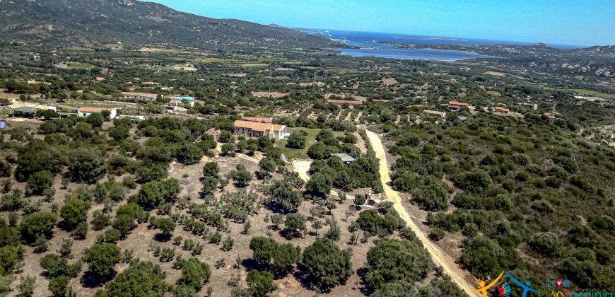 Fabulous Home  For Sale In Sale San Pantaleo Sardinia Ref. Daphe