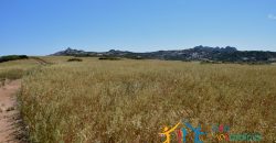 12 Ha Buildable Land For Sale Sardinia ref. Liccia Barria