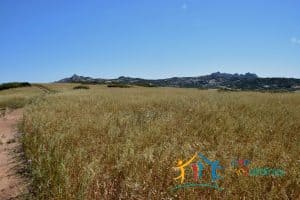 12 Ha Buildable Land For Sale Sardinia ref. Liccia Barria