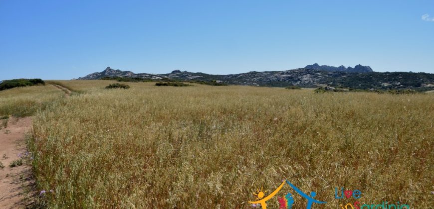 12 Ha Buildable Land For Sale Sardinia ref. Liccia Barria