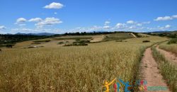 12 Ha Buildable Land For Sale Sardinia ref. Liccia Barria