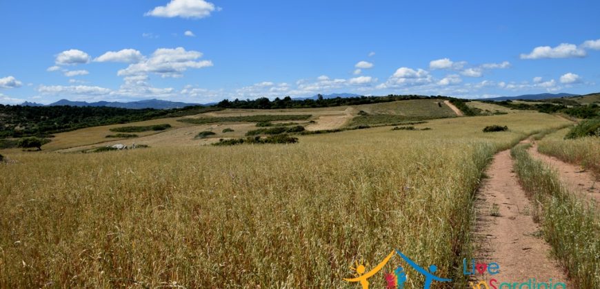 12 Ha Buildable Land For Sale Sardinia ref. Liccia Barria