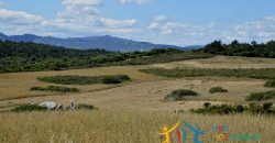 12 Ha Buildable Land For Sale Sardinia ref. Liccia Barria