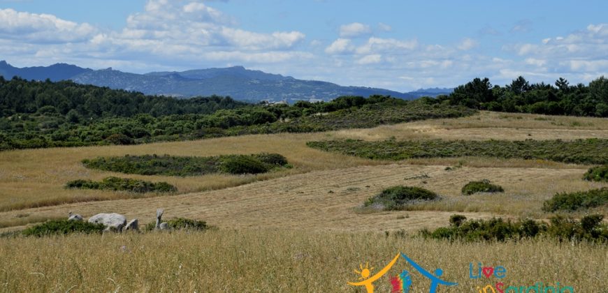 12 Ha Buildable Land For Sale Sardinia ref. Liccia Barria