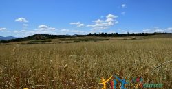 12 Ha Buildable Land For Sale Sardinia ref. Liccia Barria