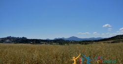 12 Ha Buildable Land For Sale Sardinia ref. Liccia Barria