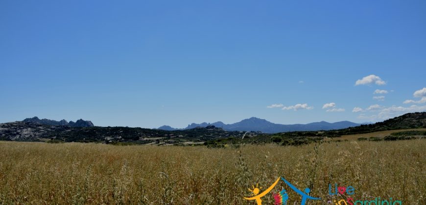 12 Ha Buildable Land For Sale Sardinia ref. Liccia Barria