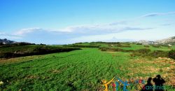 12 Ha Buildable Land For Sale Sardinia ref. Liccia Barria