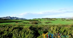 12 Ha Buildable Land For Sale Sardinia ref. Liccia Barria