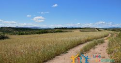 12 Ha Buildable Land For Sale Sardinia ref. Liccia Barria