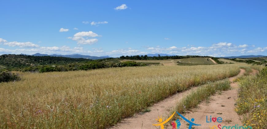 12 Ha Buildable Land For Sale Sardinia ref. Liccia Barria