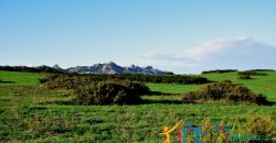 12 Ha Buildable Land For Sale Sardinia ref. Liccia Barria