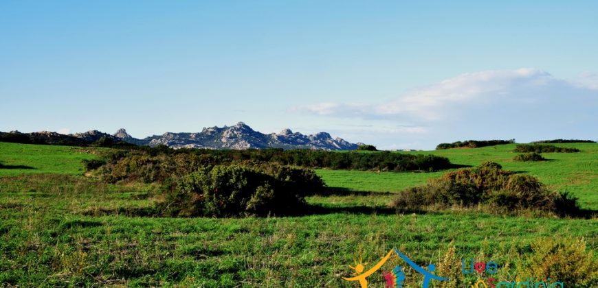 12 Ha Buildable Land For Sale Sardinia ref. Liccia Barria