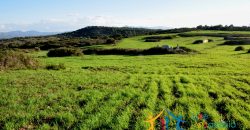 12 Ha Buildable Land For Sale Sardinia ref. Liccia Barria