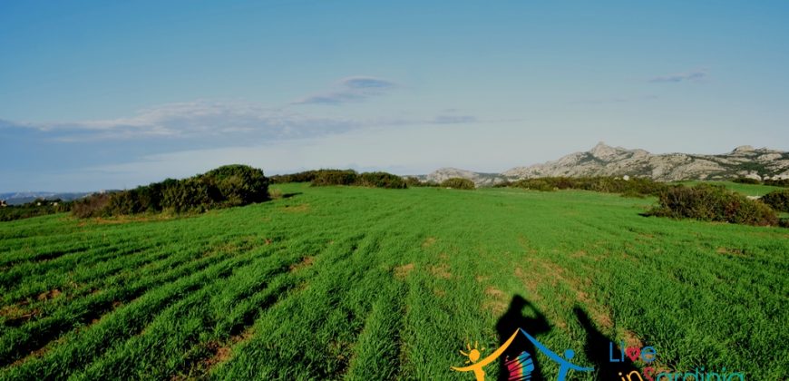 12 Ha Buildable Land For Sale Sardinia ref. Liccia Barria