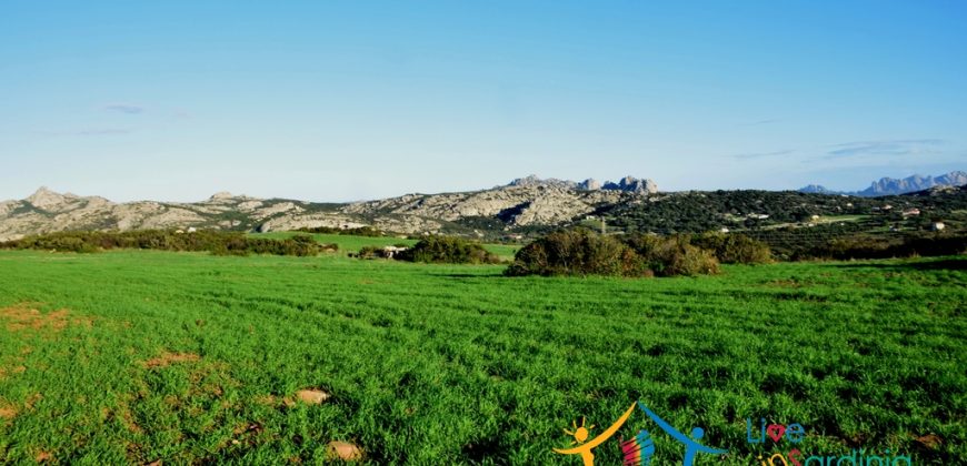 12 Ha Buildable Land For Sale Sardinia ref. Liccia Barria